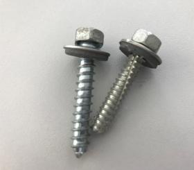 Schraube mit Dichtscheibe für Maxal 60+ 